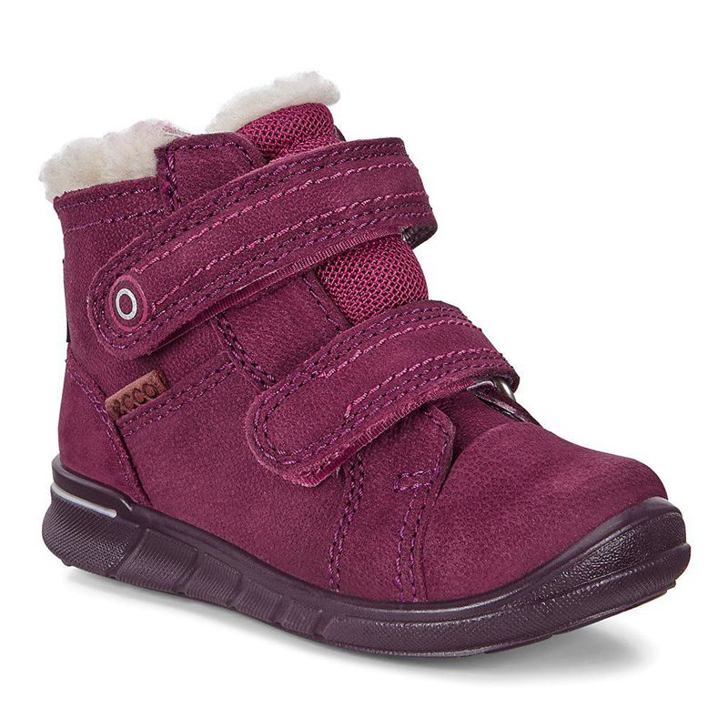 Zapatos Outdoor Ecco Urban Mini Para Niños,Moradas,918247-CDG